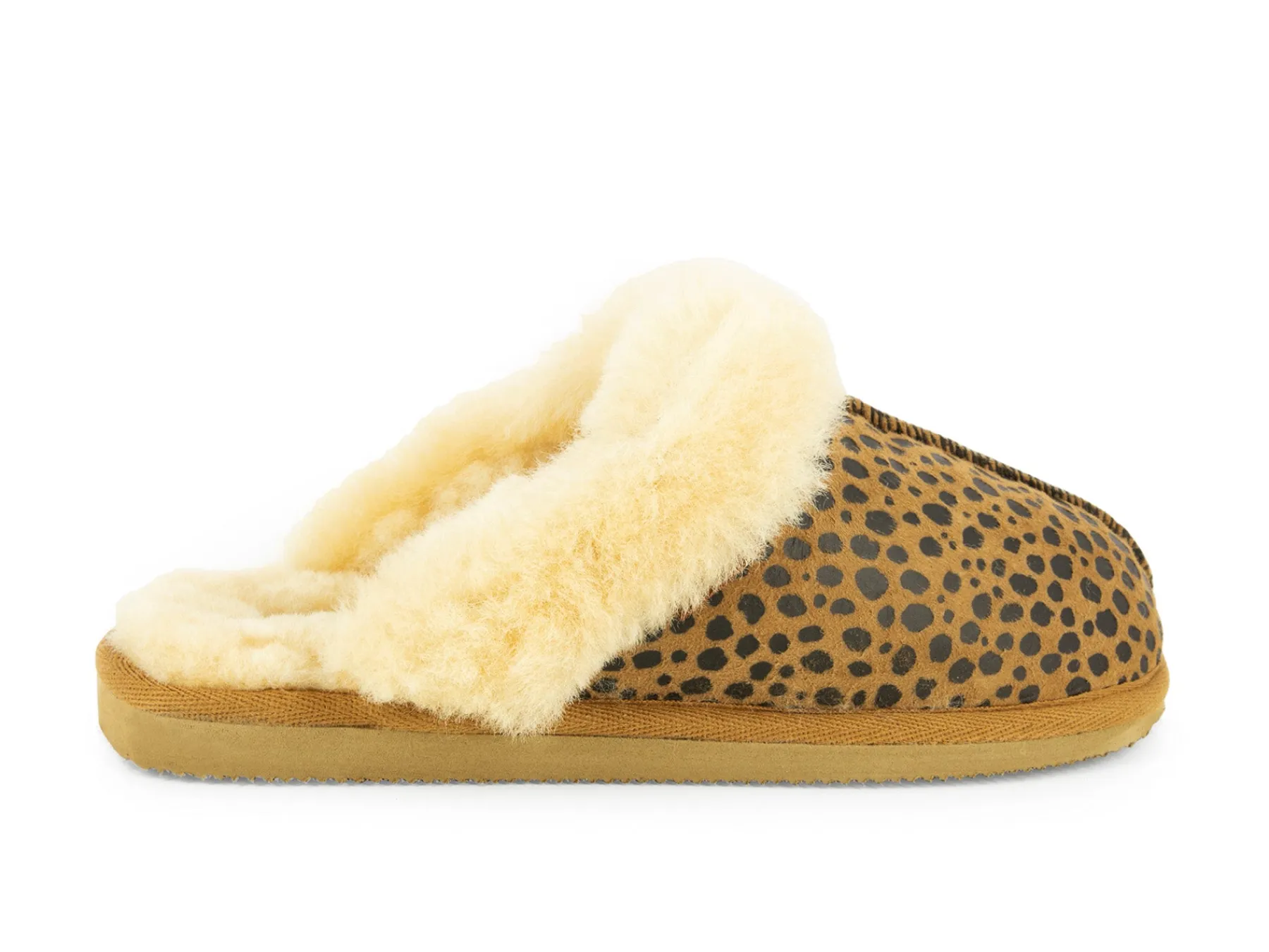 SHEPHERD OF SWEDEN leopard Flash Sale